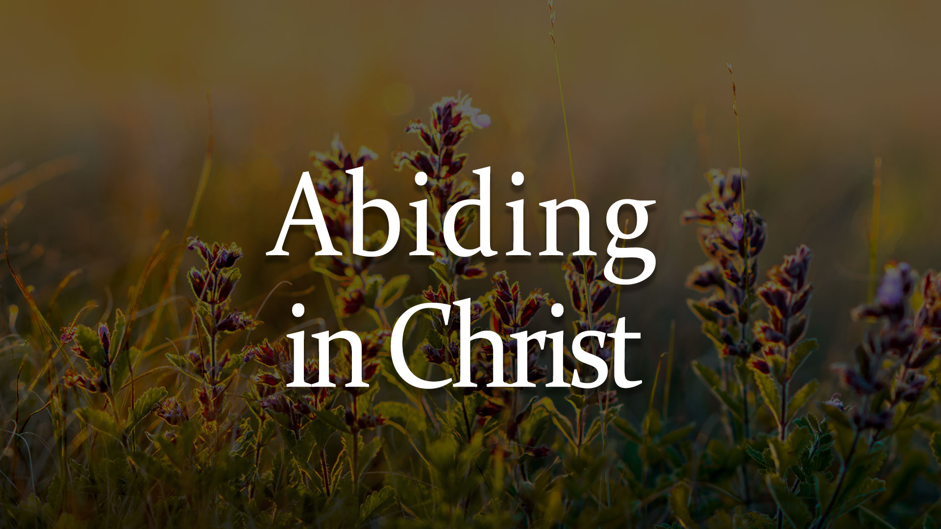 abiding-in-christ-ottawa-church-of-christ