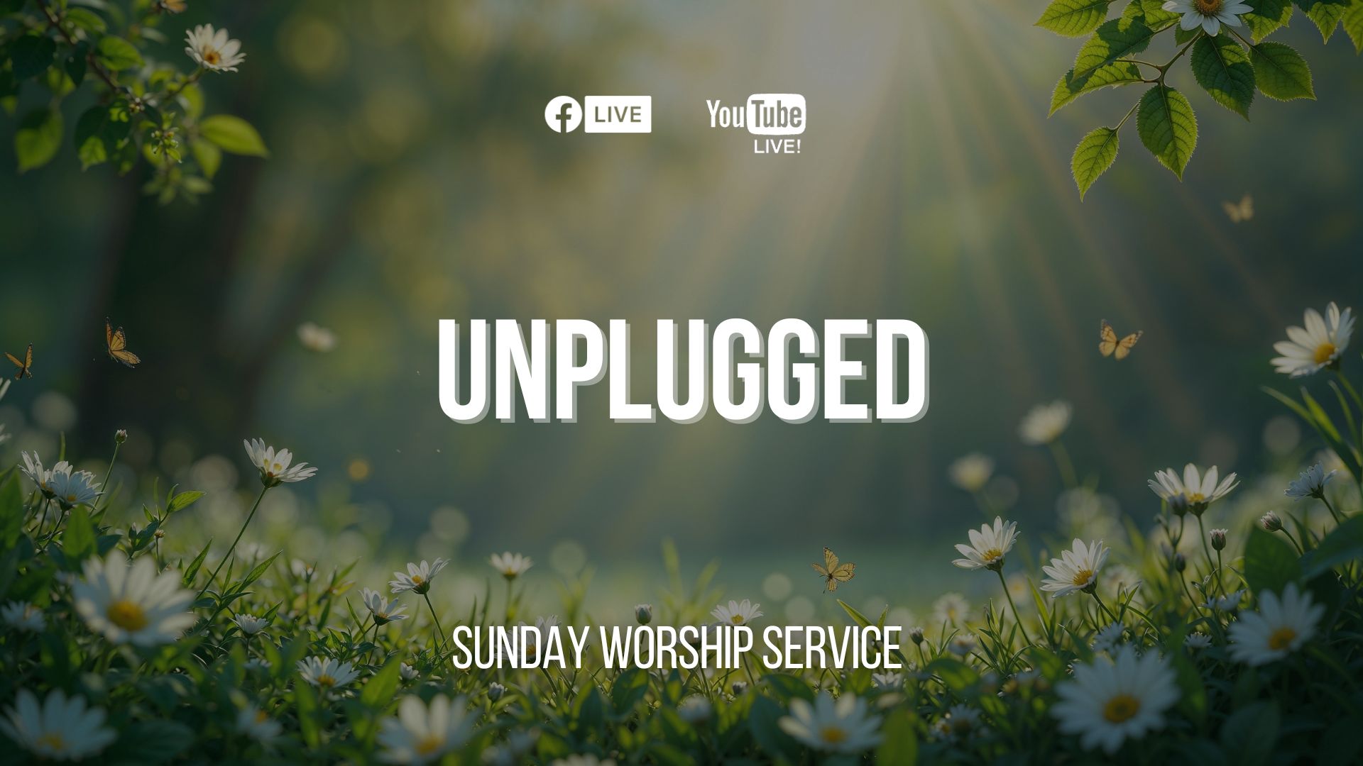 unplugged