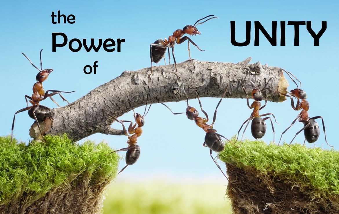 The Power of Unity - Ottawa Church of Christ