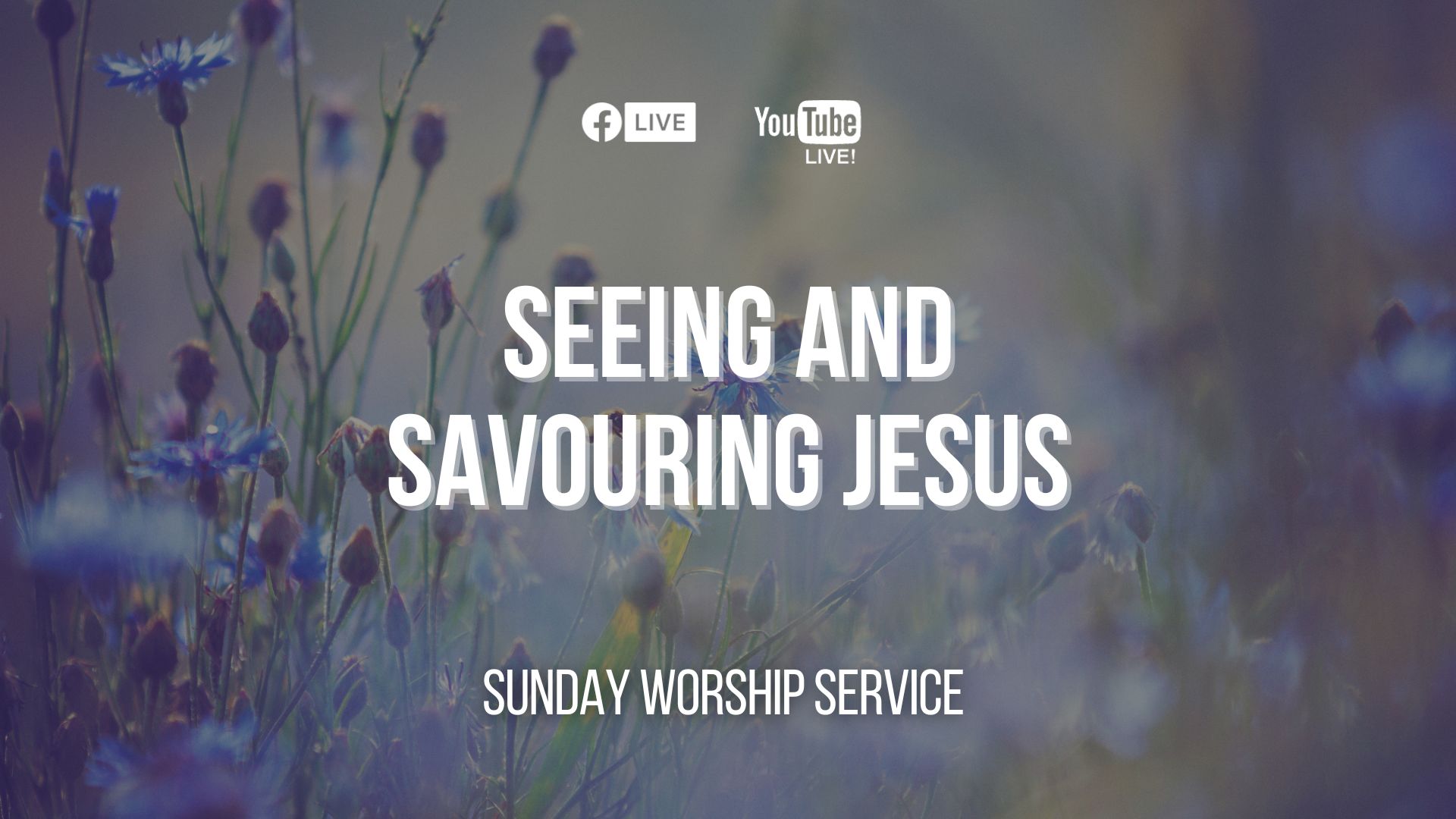 Seeing and Savouring Jesus