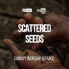 Scattered Seeds